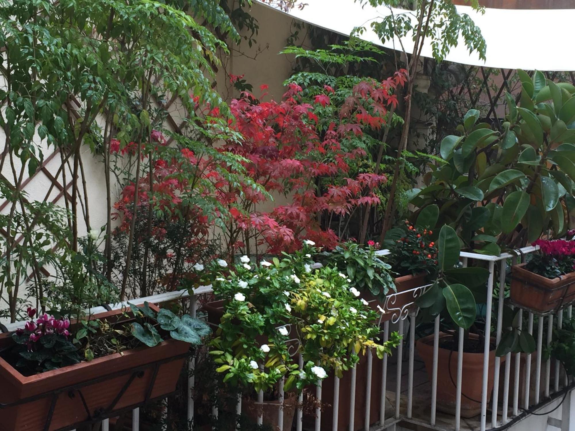 Relais Teatro Argentina Bed & Breakfast Рим Екстериор снимка